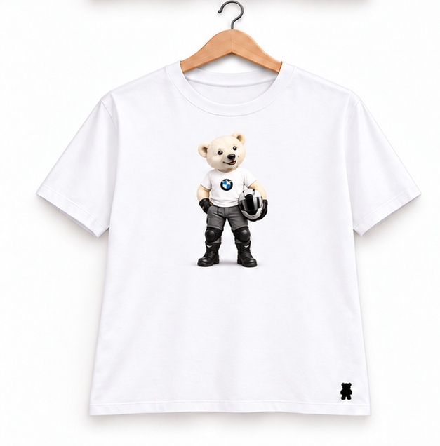 Outra imagem de Urso Piloto Polar
