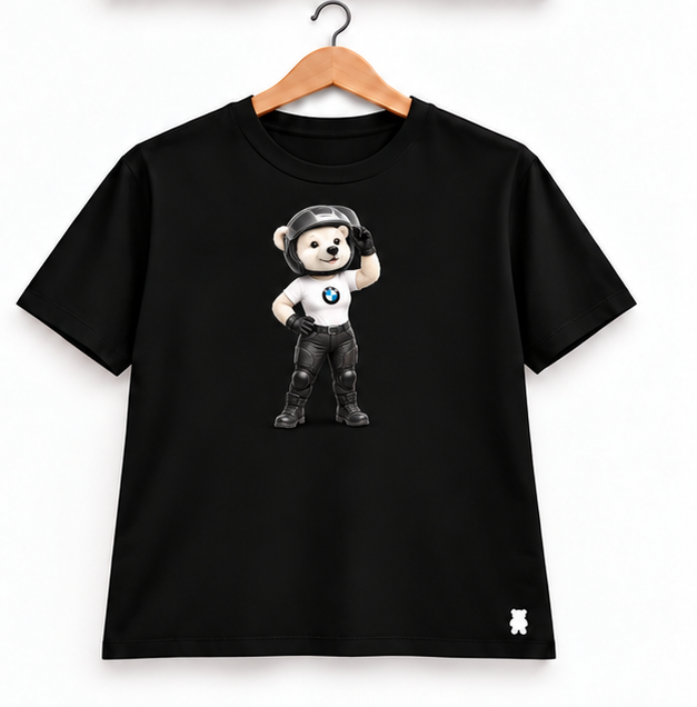 Ursa Piloto Polar